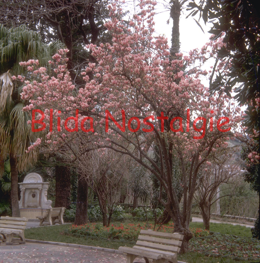 FONTAINE JARDIN BIZOTA.jpg